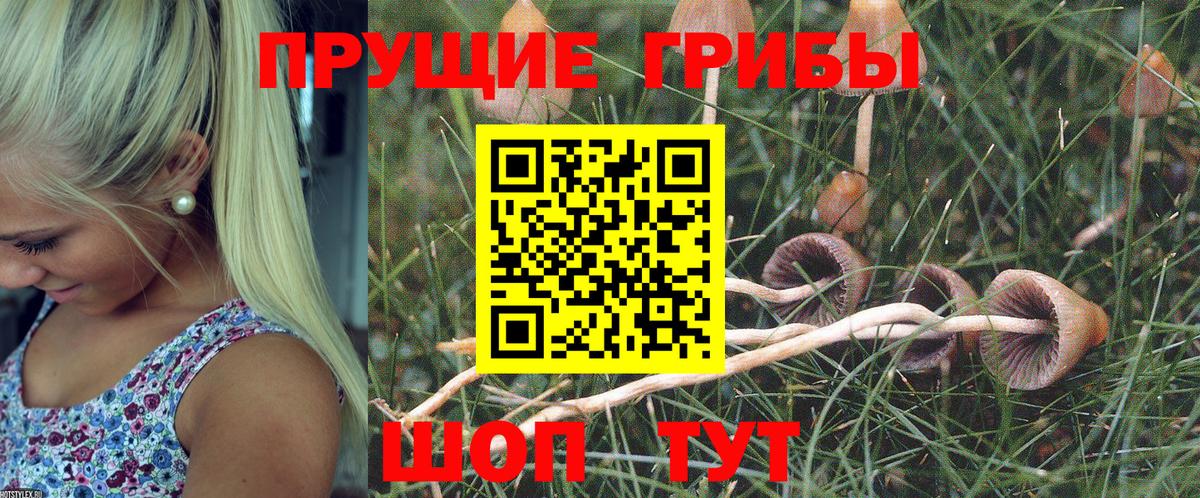 Псилоцибиновые грибы ЛСД Сафоново