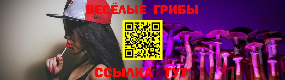 Галлюциногенные грибы Psilocybe  Вход с VPN  Галлюциногенные грибы мухоморы  Сафоново 